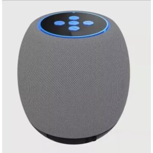 Wireless E-3519 Digital Speaker