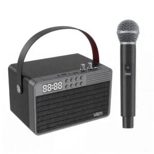 Leerfei SPK-E-4113 FM TF Card/U disk/AUX Bluetooth Speaker with Mic