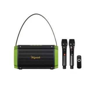 Wejeier W-4120 Outdoor Portable Karaoke Singing Bluetooth Speaker with Two Mics