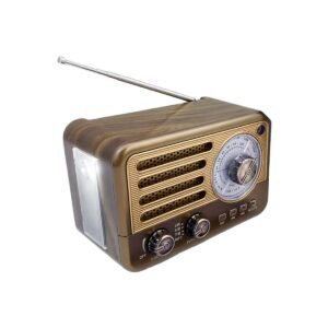 YS-507BT FMAMSWUSBTF3-Band Receiver Bluetooth Speaker