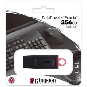Kingston Flash 256GB DataTraveler Exodia - USB 3.2