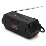 Portable HF-F216 BT 5.0 FM Radio Wireless Bluetooth Speaker