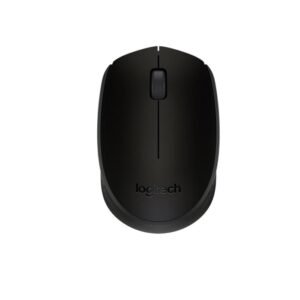 Logitch Mouse M171