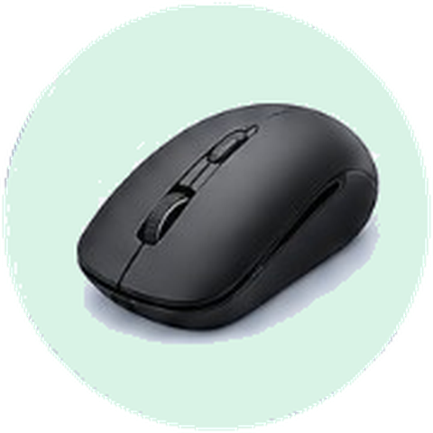 Mouse