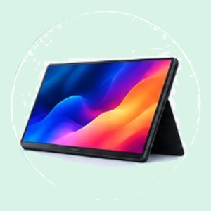 Portable Monitors